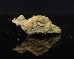Blueberry Strain and Blueberry Muffin Strain: Classics with a Sweet Twist